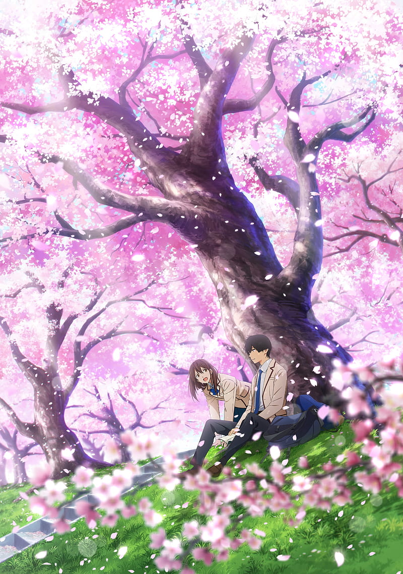 yamauchi sakura, kimi no suizou wo tabetai, sakura blossom, petals, bloom, cherry, Anime, HD phone wallpaper
