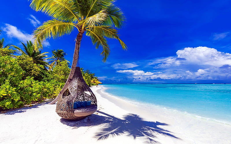 Tropical Beach, nature, beaches, tropical, palm trees, sand, HD wallpaper