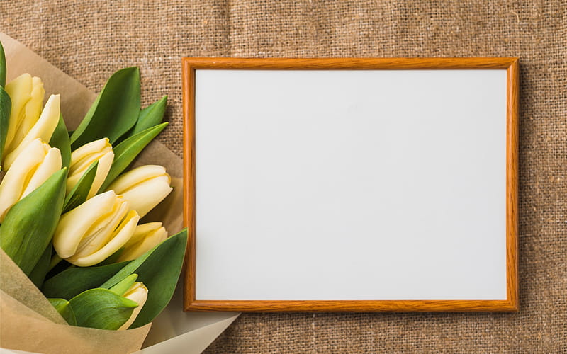Yellow tulips, spring flowers, wooden frame, pattern for postcard with tulips, spring, white blank sheet, HD wallpaper