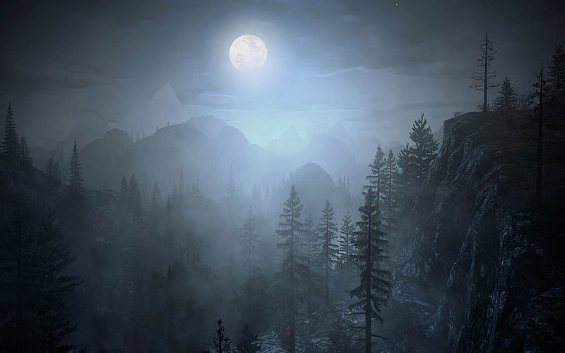 foggy night-amazing natural scenery, HD wallpaper