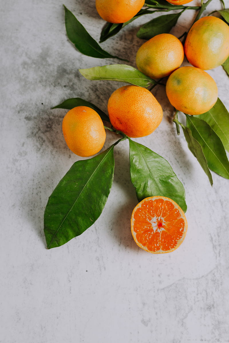 tangerines, fruit, branch, citrus, orange, HD phone wallpaper