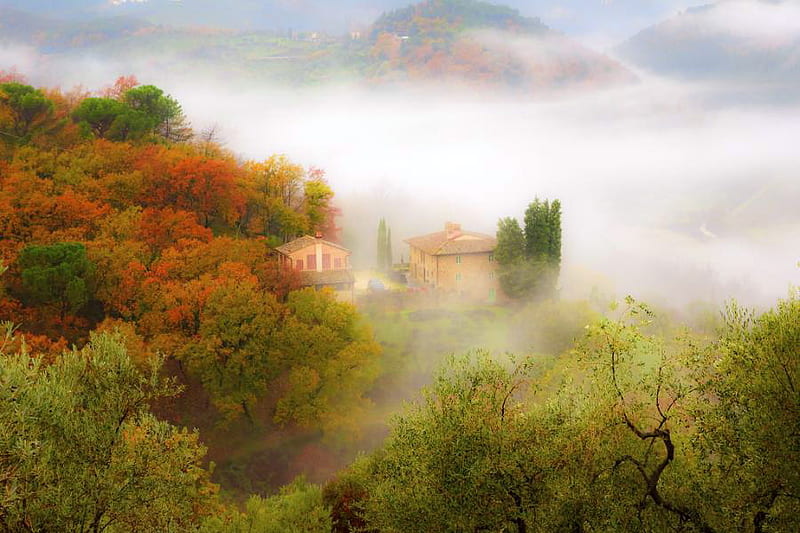 Misty moor, mountain, cottage, trees, bushes, mist, HD wallpaper | Peakpx