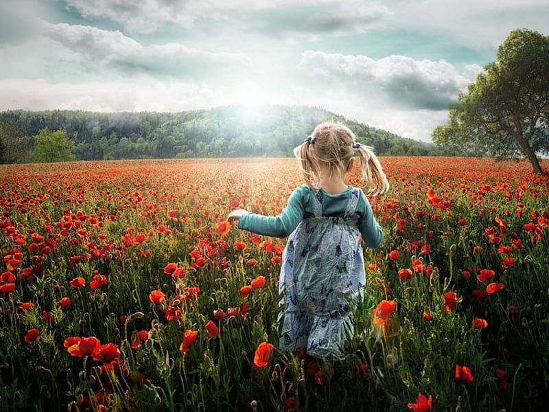 Little Girl, Joy, Flowers, Field, Children, HD wallpaper