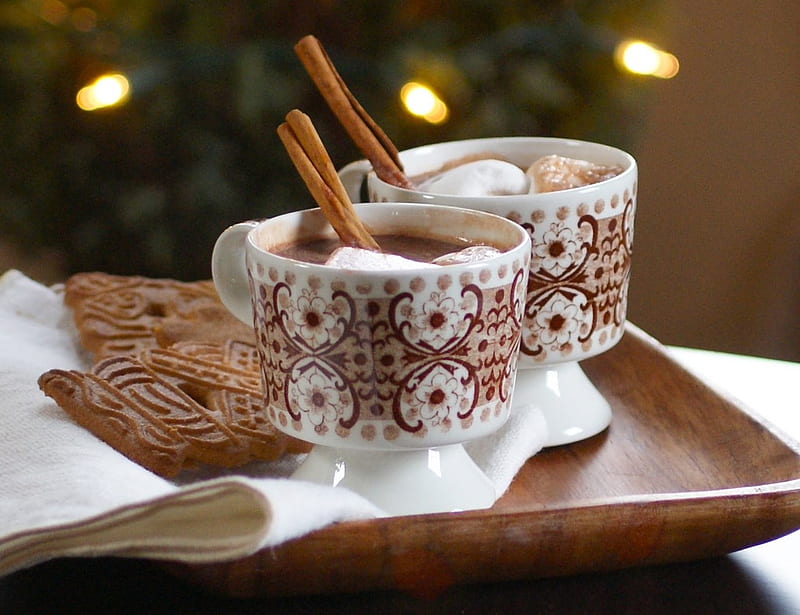 Hot chocolate, savory, delicious, chocolate, cinnamon, sweet, graphy, cookie, cup, hot, cream, HD wallpaper