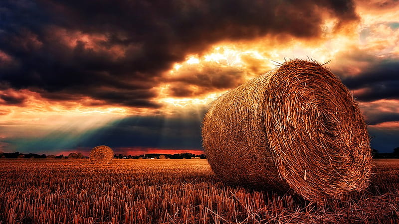 Hayfield Stormy Sky, grass, ranch, sunset, sky, storm, hay, clouds, stormy, farm, hay bales, Firefox Persona theme, field, HD wallpaper