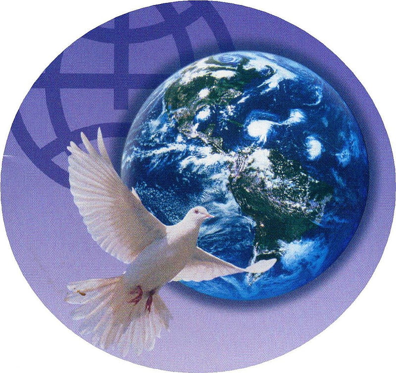 World Dove, globe, world, in flight, bird, dove, earth, HD wallpaper