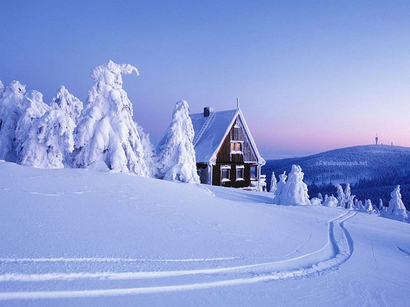 Deep Winter, Snow, cabin, trees, landscape, HD wallpaper