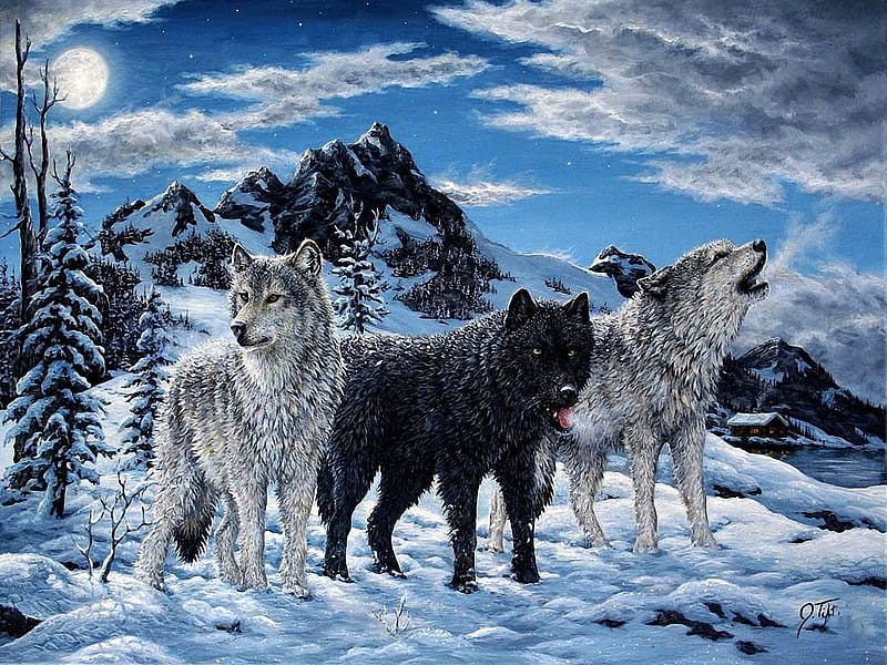 Morning Howl, mountains, wolfpack, sky, clouds, wolves, winter, trees, artwork, moon, snow, painting, HD wallpaper