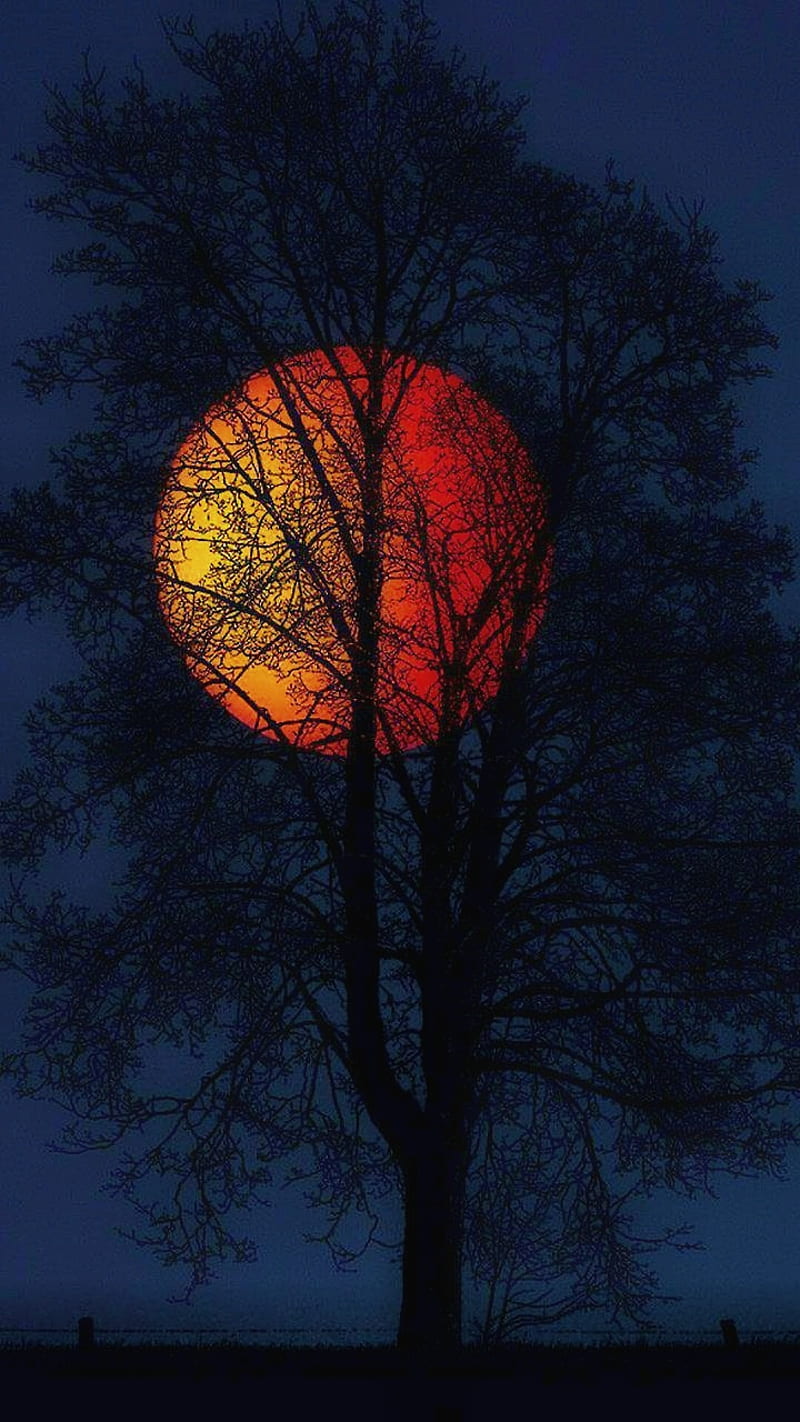Moon night, autumn, landscapes, moon, nature, night, red, winter, HD phone wallpaper