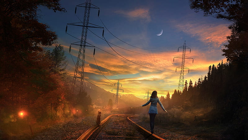 Railway Cat Girl, sunset, railway, cats, rail roads, HD wallpaper