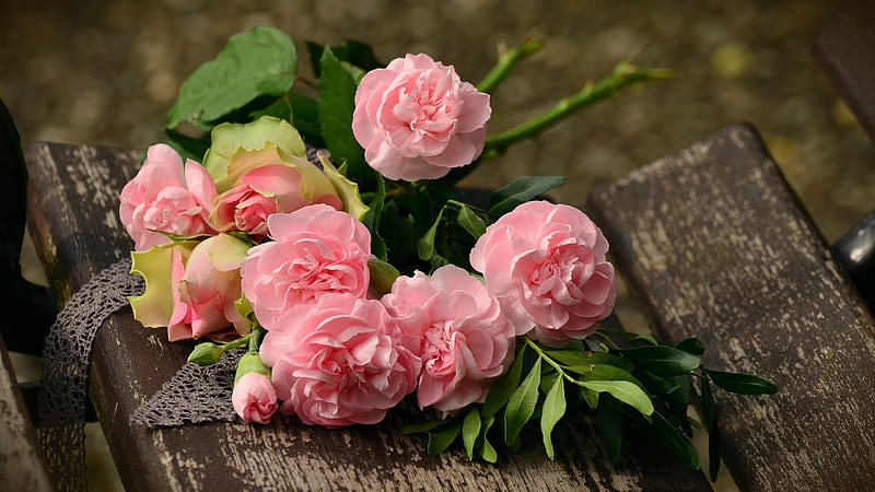 Roses and carnations, green, bouquet, rose, flower, carnation, pink, wood, HD wallpaper