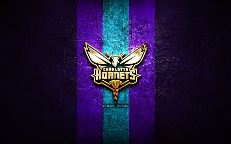 Charlotte Hornets, golden logo, NBA, violet metal background, american basketball club, Charlotte Hornets logo, basketball, USA, HD wallpaper
