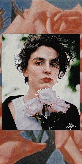 Timothée Chalamet Wallpapers  Top Free Timothée Chalamet Backgrounds   WallpaperAccess