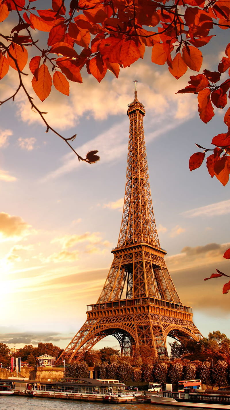 Paris, eiffel, france, leaves, nature, red, sky, tour, tower, HD phone wallpaper