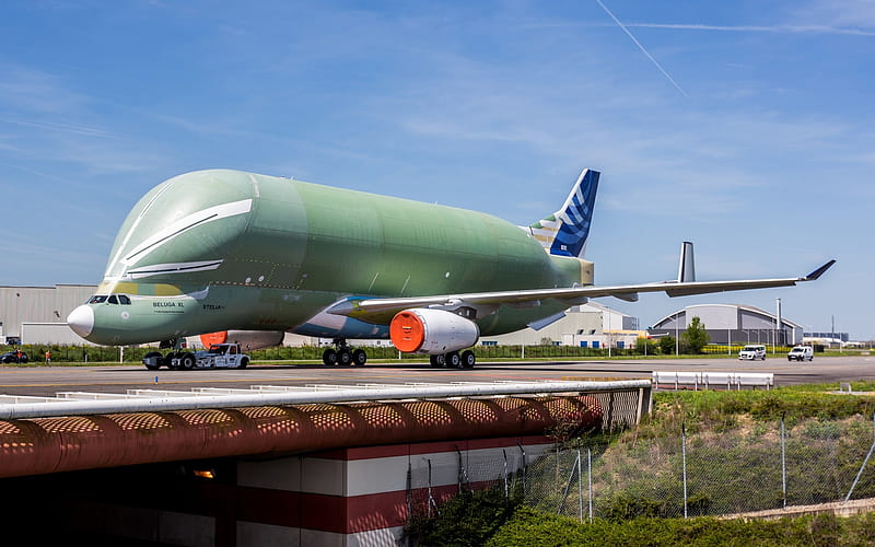 Airbus Beluga XL, A330-200, cargo aircraft, transport aviation, new aircraft, Airbus, HD wallpaper