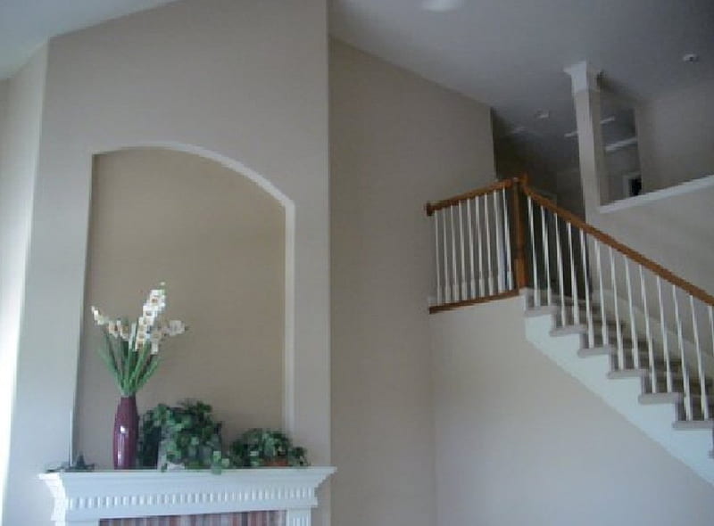 clinepainting, castle rock house painting, highlands ranch house painting, painting company denver, lone tree house painting, littleton painters, HD wallpaper