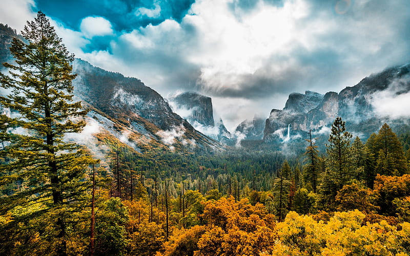 Yosemite Valley, rocks, mountain landscape, forest, fog, mountains, valley, Yosemite National Park, Sierra Nevada, USA, HD wallpaper