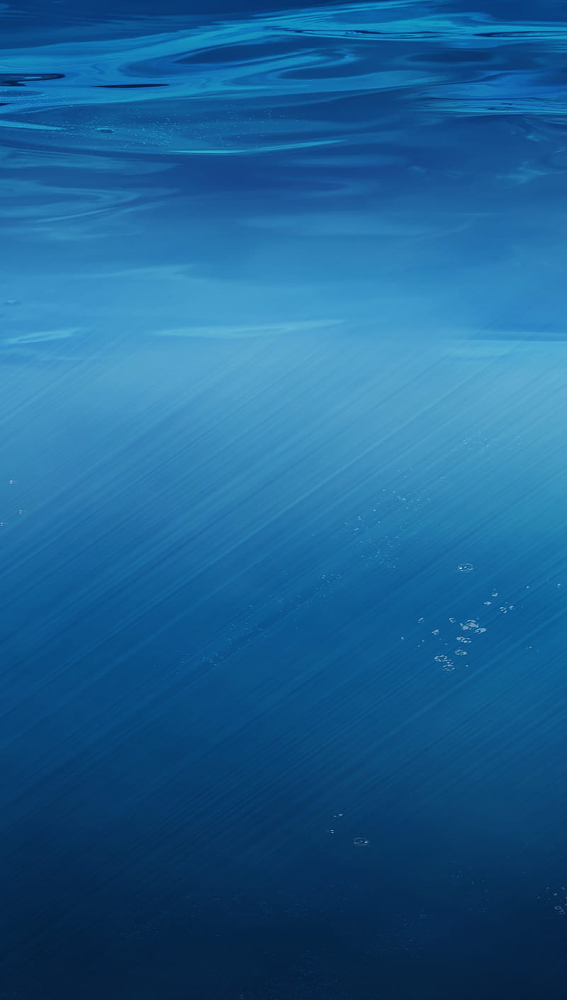 Life Underwater aquatic, blue, ocean, sea, underwater, unknown, water, HD phone wallpaper