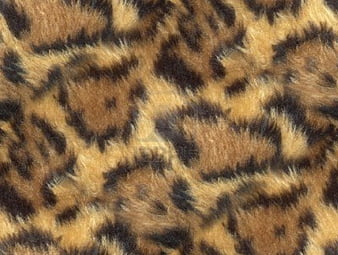 Beautiful Fall - . Cheetah print, Animal print, Cheetah print