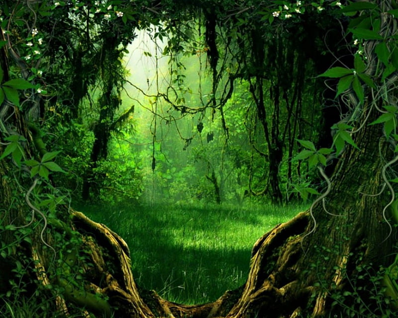 Enchanted Forest, forest, way, trees, green, HD wallpaper