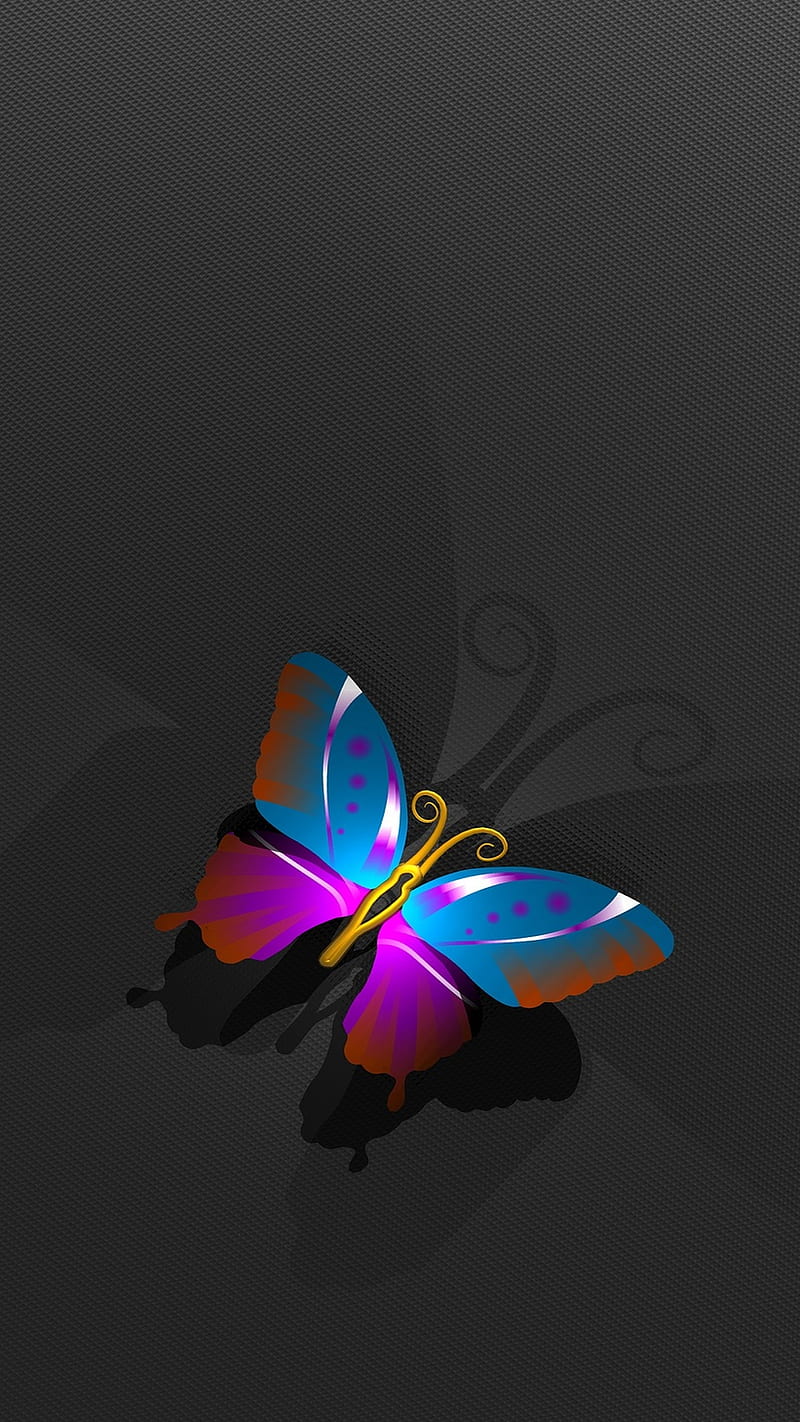 Butterfly - Top 50 Best Butterfly Background, Small Butterflies, HD phone wallpaper