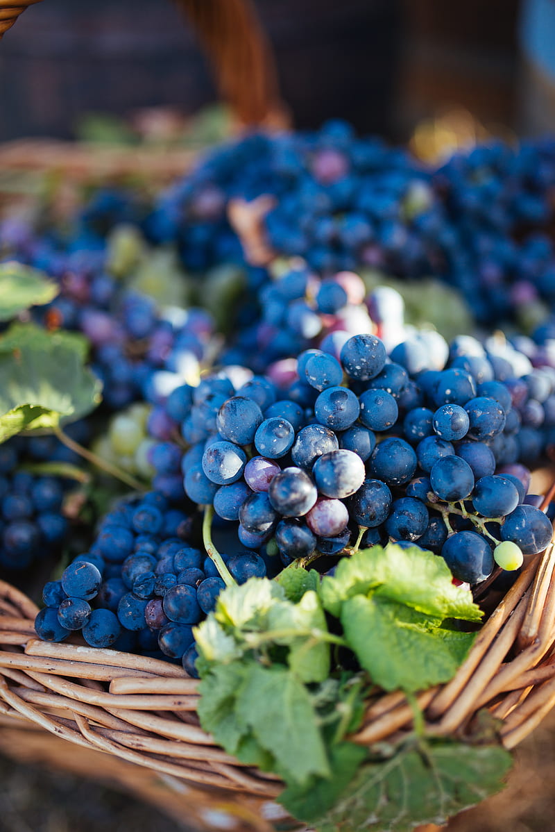 grapes, fruit, vine, leaves, basket, HD phone wallpaper