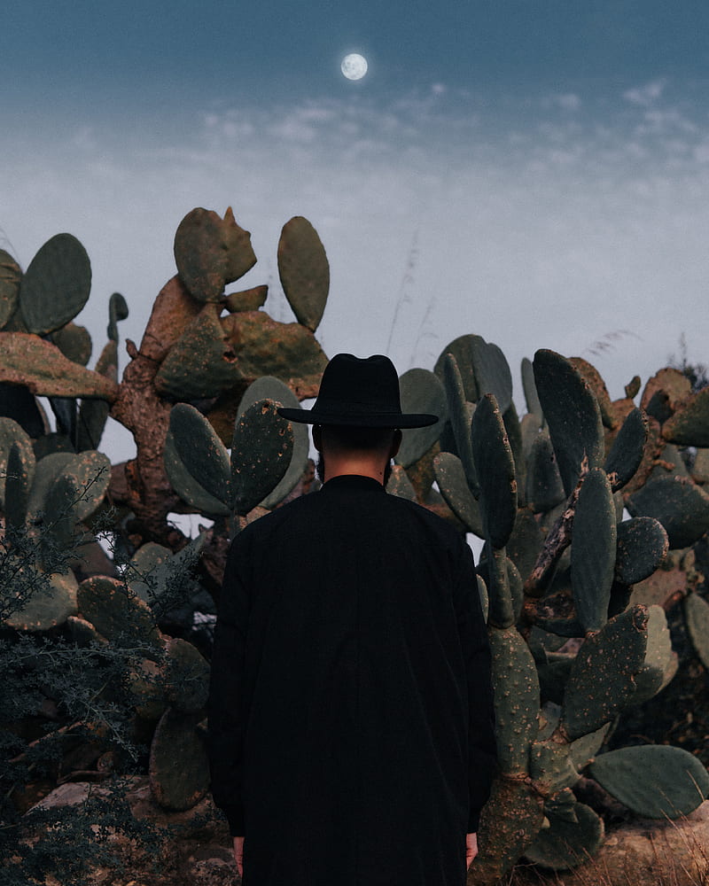 man, hat, cactus, alone, moon, HD phone wallpaper