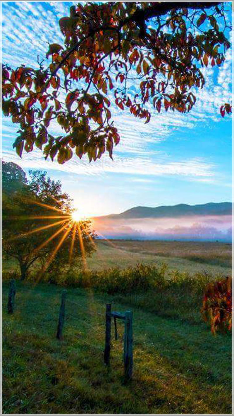 Tennessee Beauty, nature, scenery, sun, HD phone wallpaper | Peakpx