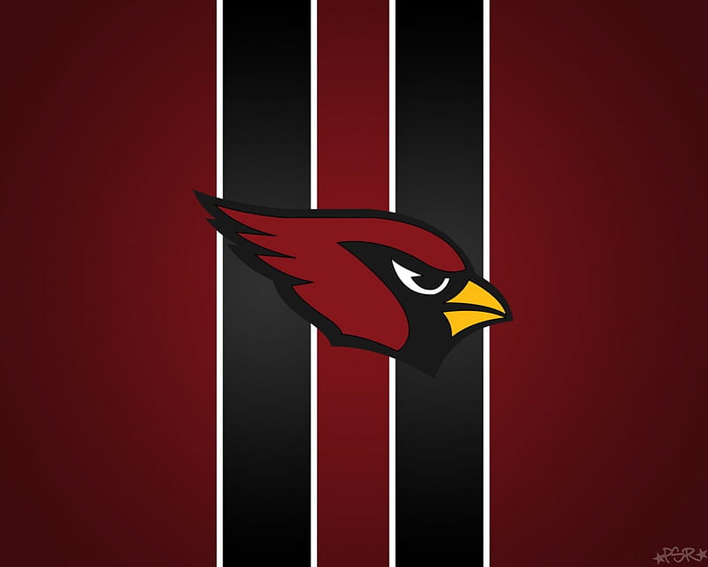 Arizona cardinals 1080P, 2K, 4K, 5K HD wallpapers free download | Wallpaper  Flare