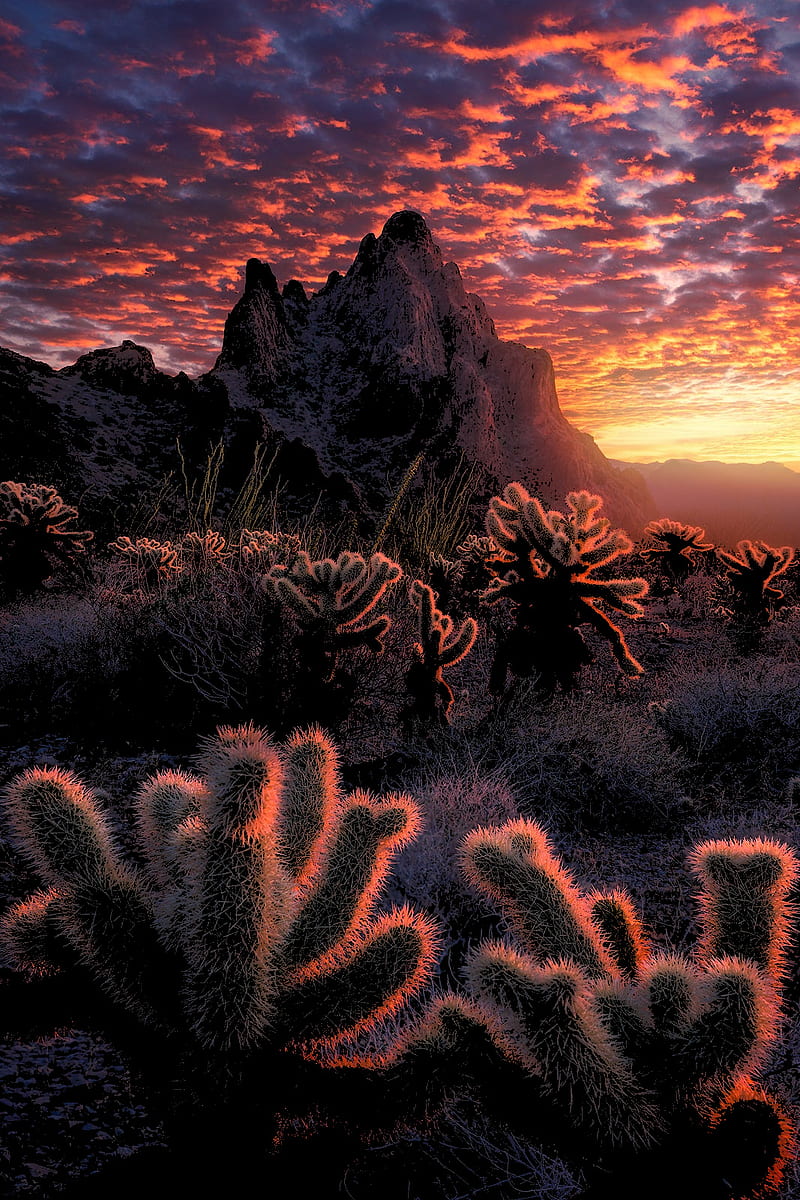 Phoenix arizona desert iphone HD wallpapers  Pxfuel
