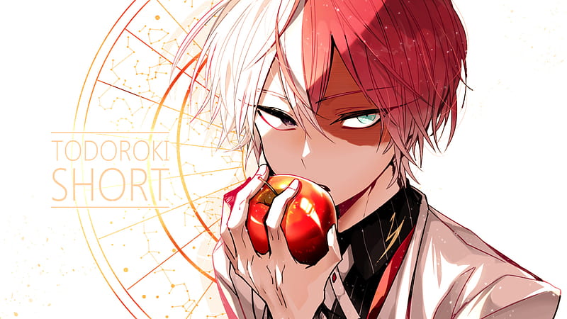 todoroki eye wallpaper｜TikTok Search