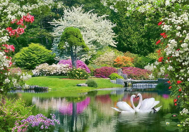 Spring park, colorful, shore, flowers, lovely, greenery, bench, spring, swans, lake, freshness, pond, plants, blossoms, garden, flowering, blooming, branches, HD wallpaper