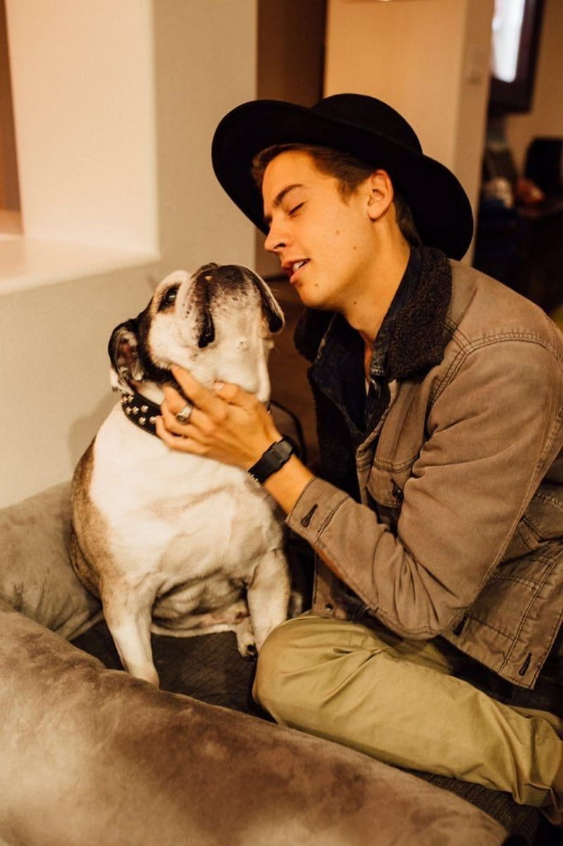 Cole Sprouse, bulldog, dogs, HD phone wallpaper