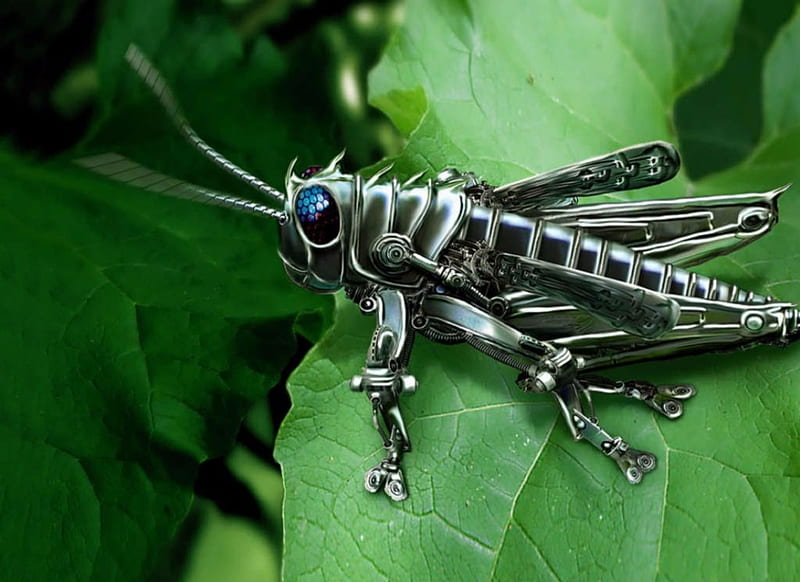 Grasshopper Robot, Abstract, Fantasy, Best, HD wallpaper