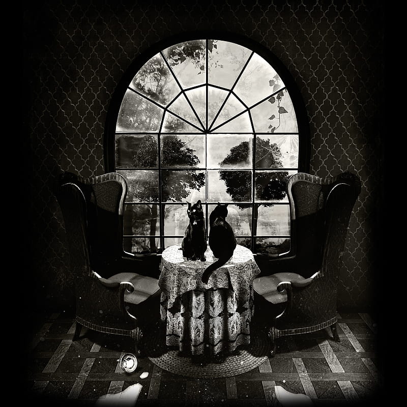 Room Skull, Ali, ali gulec, art, black and white, dark, illustration, HD phone wallpaper