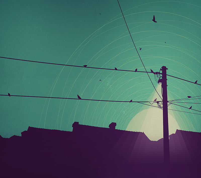 Birds, on wire, HD wallpaper | Peakpx