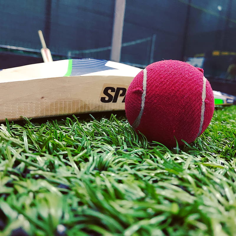 cricket bat and ball wallpaper