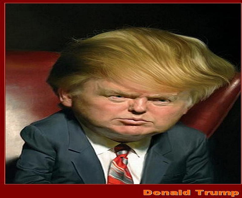 Dapper Donald, hair, donald trump, television celebrity, suit and tie, mogel, millionaire, HD wallpaper