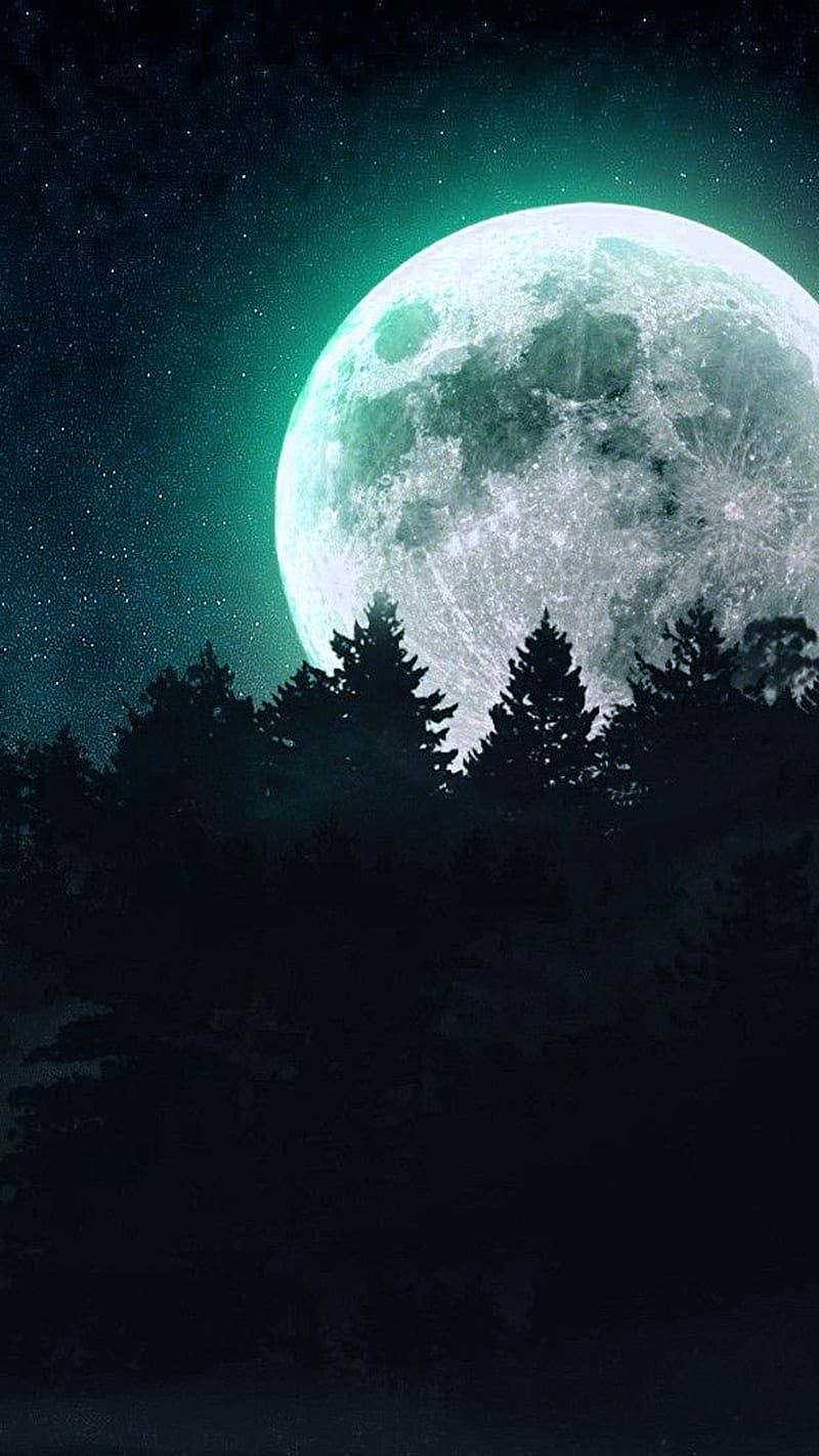 Full moon Wallpaper 4K, Forest, Night, Dark, Starry sky