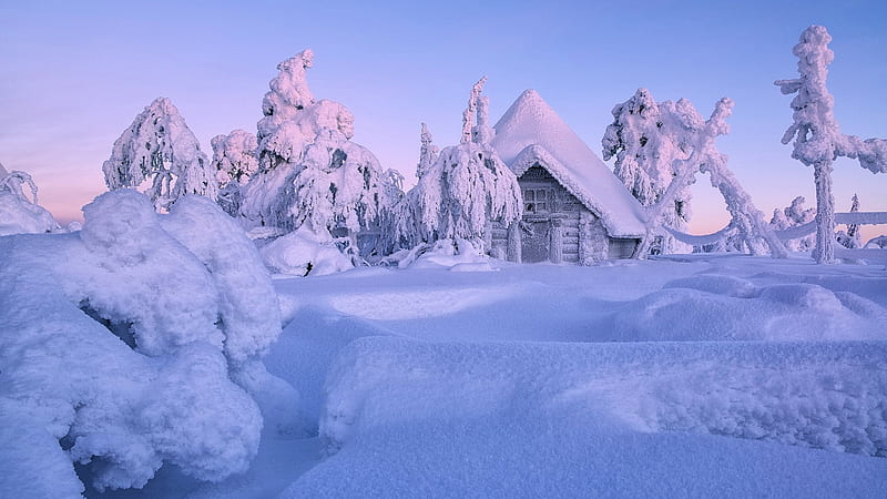 Deep Winter, ice, cabin, trees, snow, sky, HD wallpaper