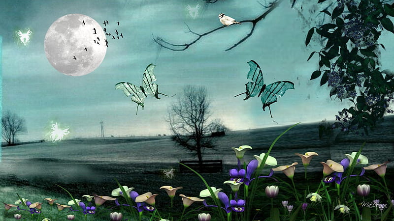 Night Butterflies, mystical, gate, flowers, birds, country, trees, sky ...
