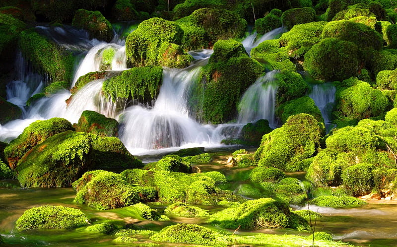 Waterfall on mossy rocks, rocks, fall, lovely, falling, bonito, stones, cascades, water, green, summer, waterfall, mossy, nature, HD wallpaper