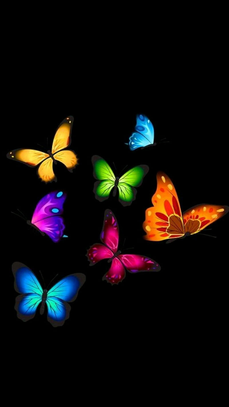 butterflies, colors, colors, cool, enirti iphone x, neon, new, samsung, HD phone wallpaper