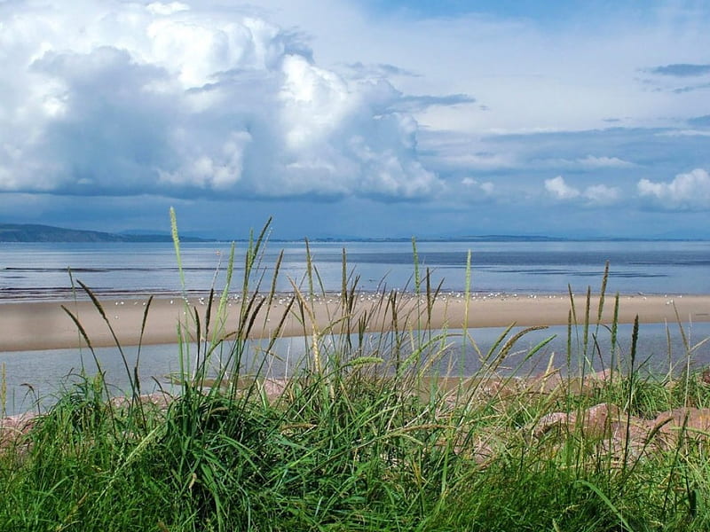 SCOTTISH COASTLINE, grass, ocean, sky, clouds, sea, beaches, grasses, seaside, coast, blue, HD wallpaper