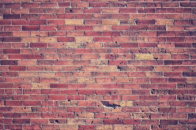 brick wall, bricks, red, wall, texture, HD wallpaper