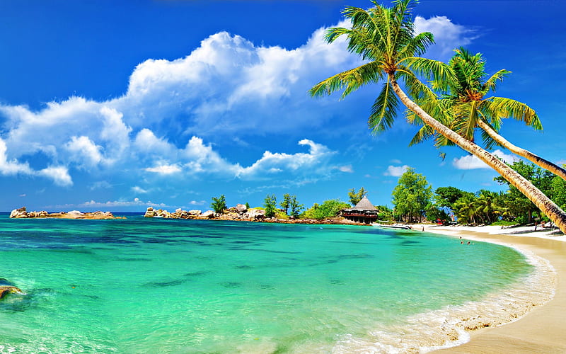 tropical island, beach, summer, palms, summer travel, azure lagoon, blue sky, HD wallpaper