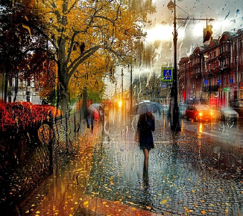 Rainy Day, nature, rain, HD phone wallpaper | Peakpx