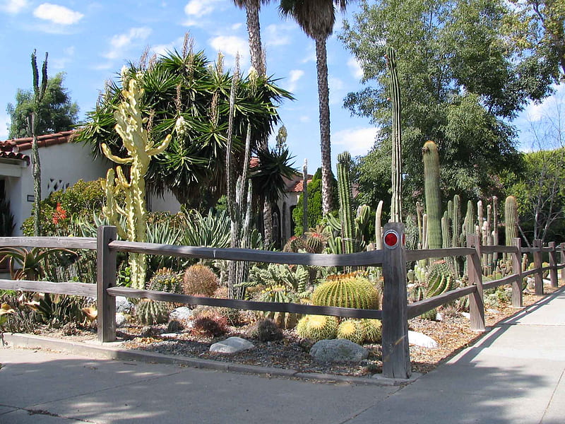 cactus garden, garden, cactus, south, landscape, HD wallpaper