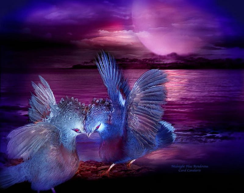 Midnight Blue Rendezvous, birds, purple, lake, artwork, HD wallpaper