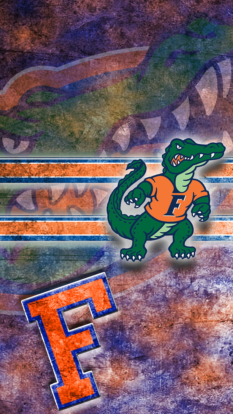 Florida Gators, school, esports, HD phone wallpaper